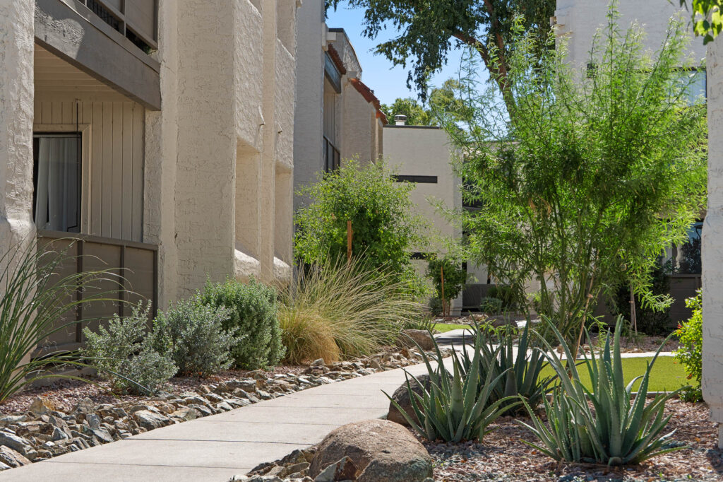 A narrow concrete walkway curves through a landscaped area with desert plants and rocks, bordered by light-colored apartment buildings on a sunny day.